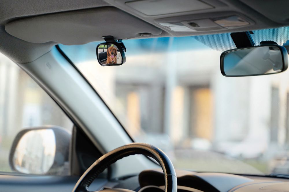 Зеркало салонное Spotter / Миниатюра WWW (1000)