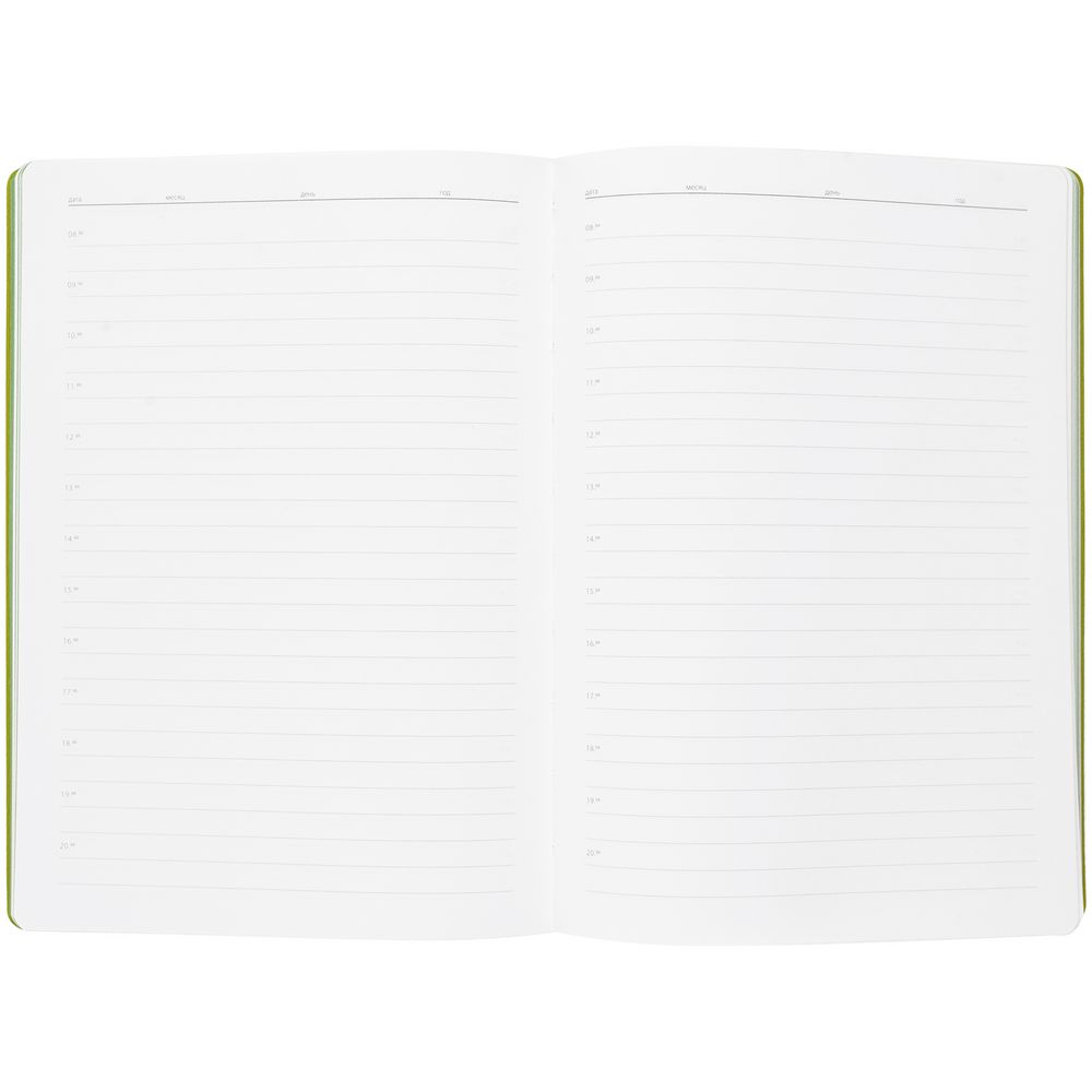 Ежедневник Flexpen, недатированный, серебристо-зеленый / Миниатюра WWW (1000)