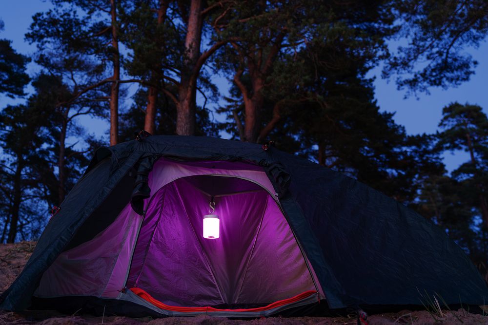 Лампа с сенсорным управлением TouchLight ver.2, белая / Миниатюра имиджевого (1000)