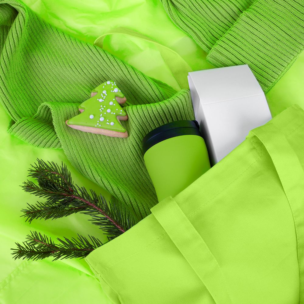 Набор Winter Safe, зеленый / Миниатюра WWW (1000)