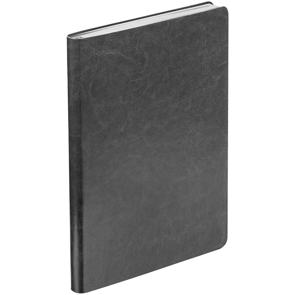 Ежедневник Nebraska Flex, недатированный, серебристый / Миниатюра WWW (1000)