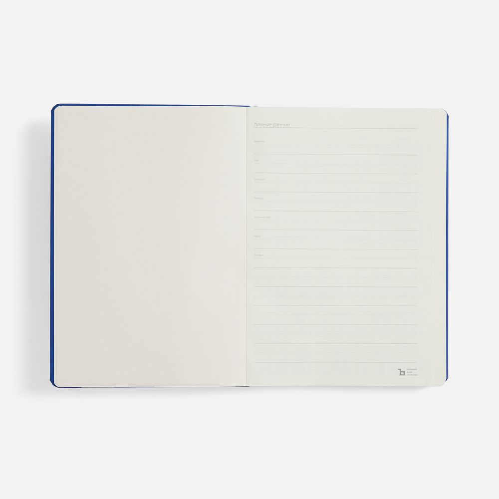 Ежедневник Urban Metal, недатированный, ярко-синий / Миниатюра WWW (1000)