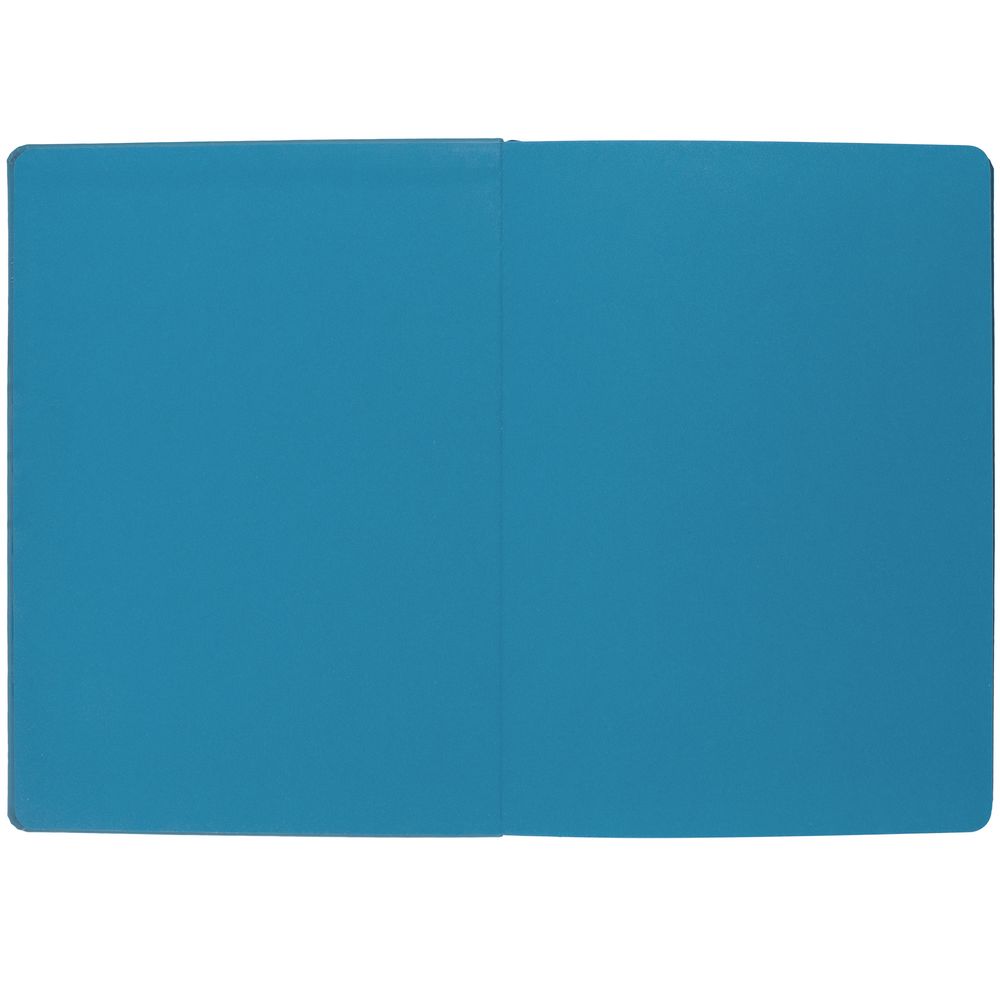 Ежедневник Shall, недатированный, бирюзовый / Миниатюра WWW (1000)