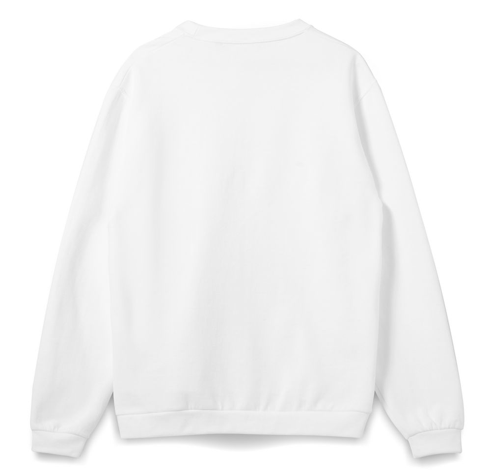 Толстовка Spider 260, белая / Миниатюра WWW (1000)