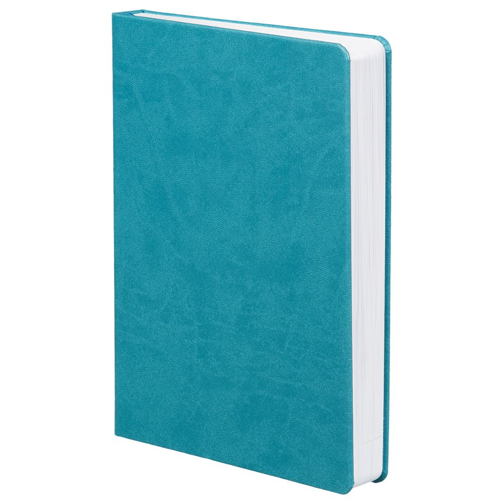 Набор «Проверено временем», бирюзовый / Миниатюра WWW (1000)