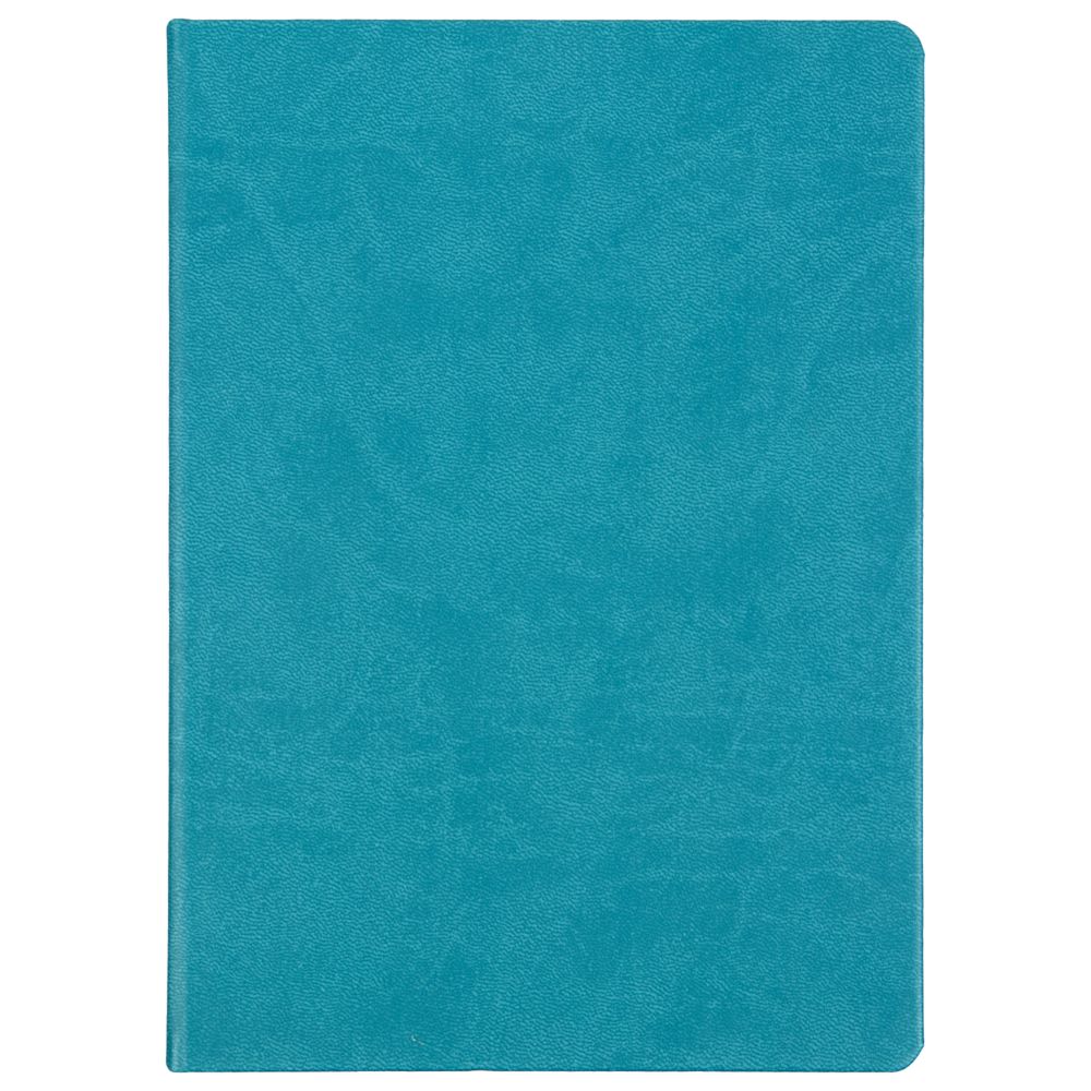 Ежедневник Basis, датированный, бирюзовый / Миниатюра WWW (1000)