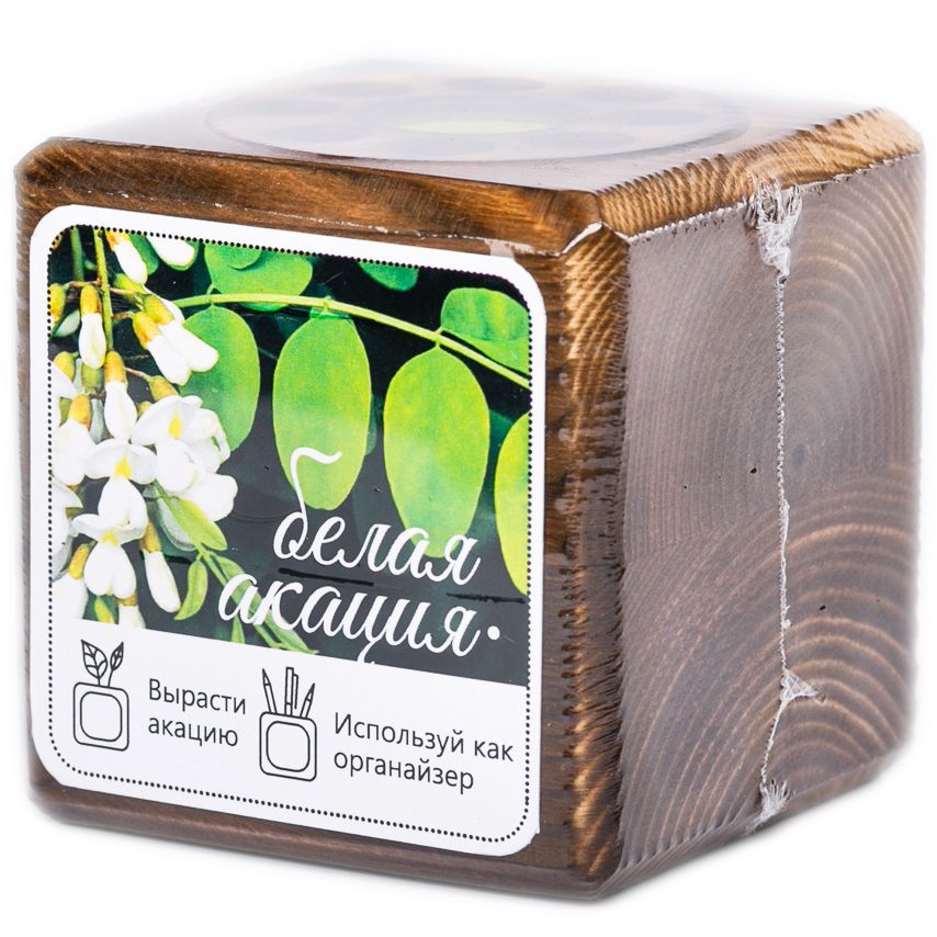 Набор для выращивания с органайзером «Экокуб Burn», акация / Миниатюра WWW (1000)