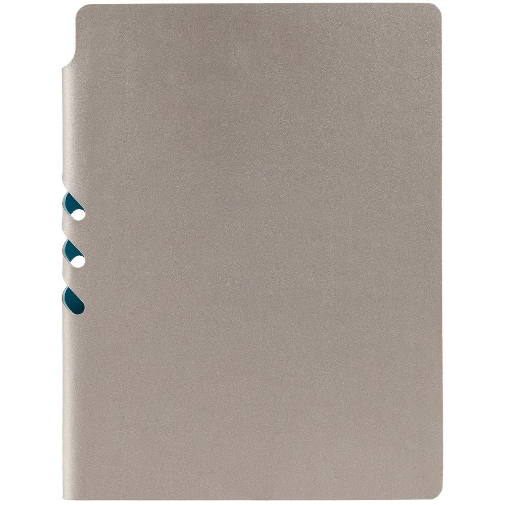 Ежедневник Flexpen, недатированный, серебристо-бирюзовый / Миниатюра WWW (1000)