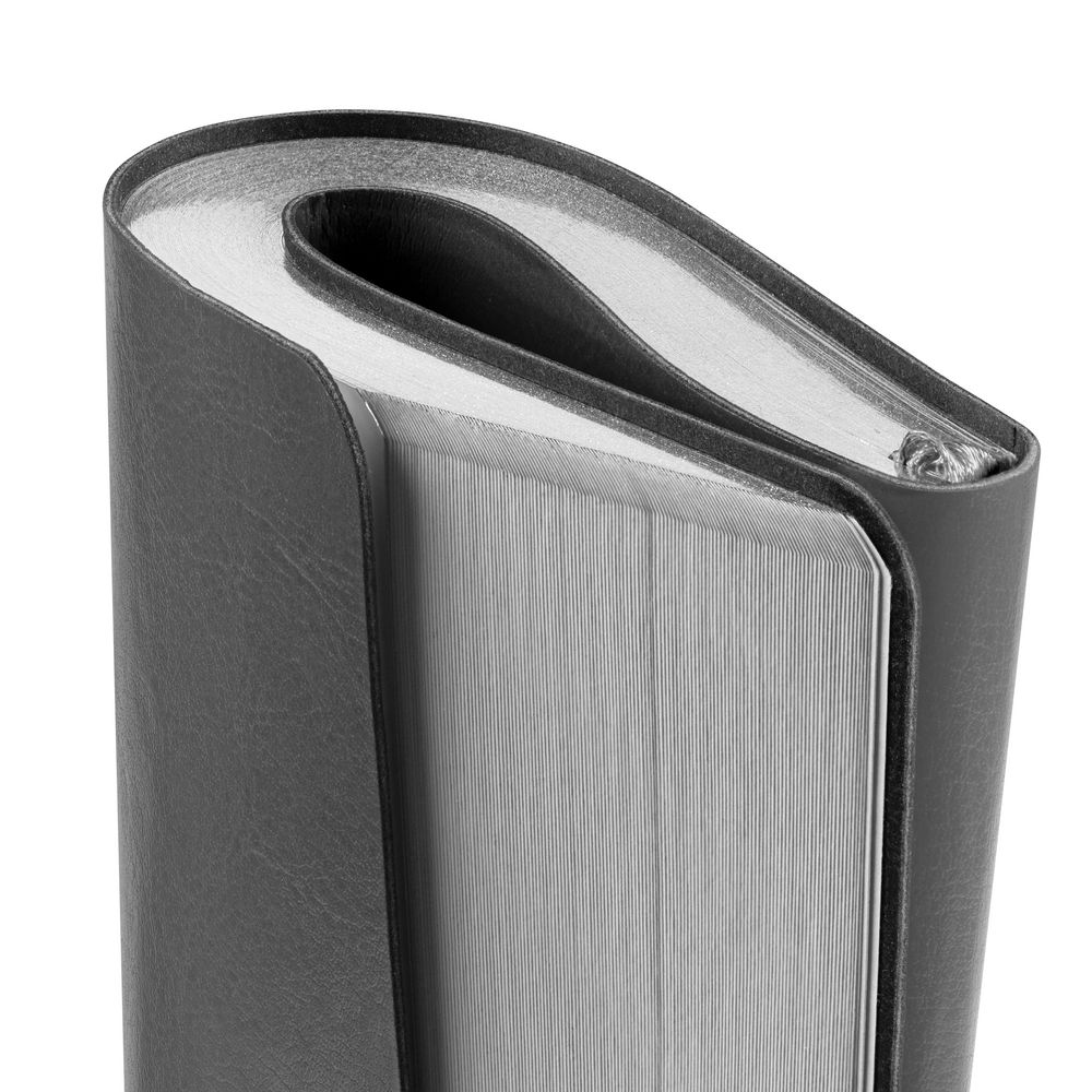 Ежедневник Nebraska Flex, недатированный, серебристый / Миниатюра WWW (1000)