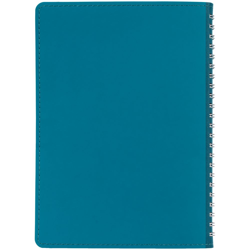 Ежедневник Spring Shall, недатированный, бирюзовый / Миниатюра WWW (1000)