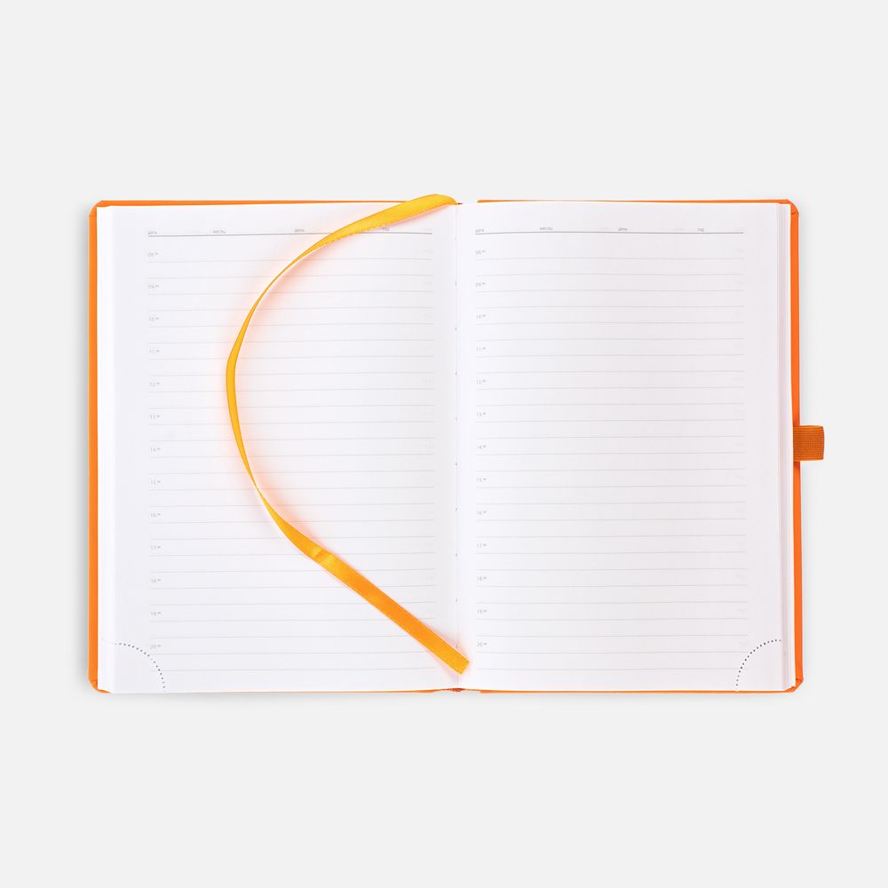Ежедневник Favor Gold, недатированный, оранжевый / Миниатюра WWW (1000)