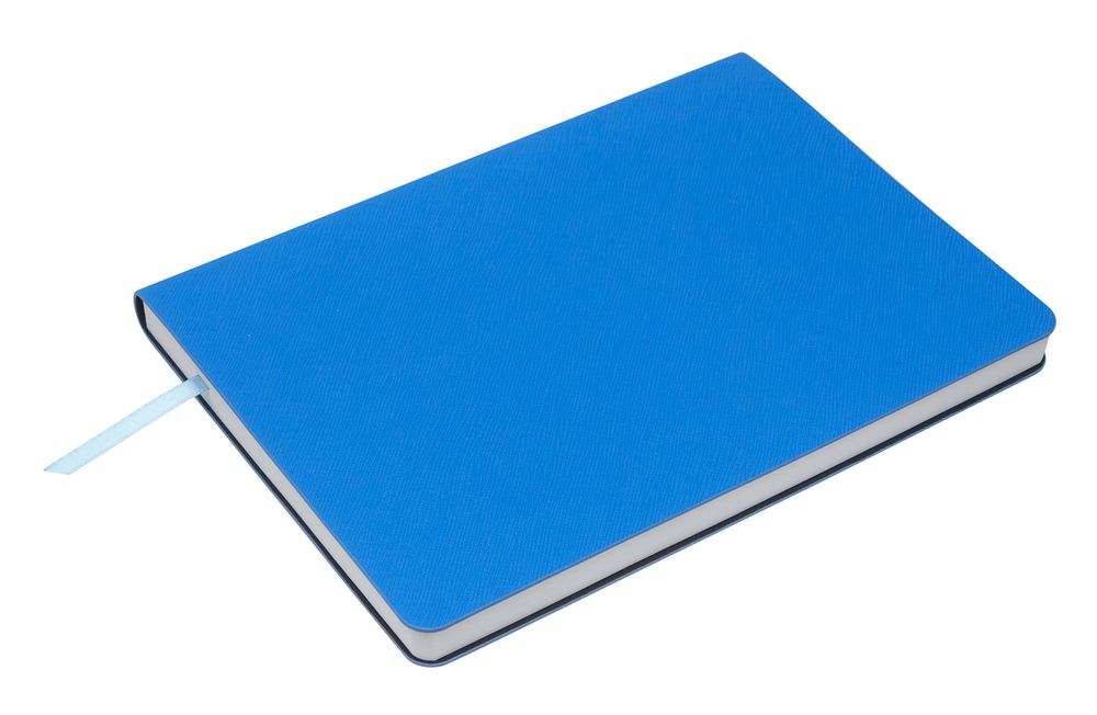 Ежедневник Costar, недатированный, голубой / Миниатюра WWW (1000)