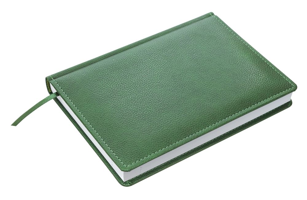 Ежедневник Sagrin, недатированный, зеленый / Миниатюра WWW (1000)