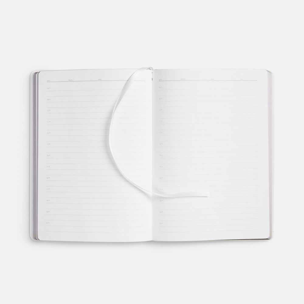 Ежедневник Nebraska Flex, недатированный, белый с золотистым / Миниатюра WWW (1000)