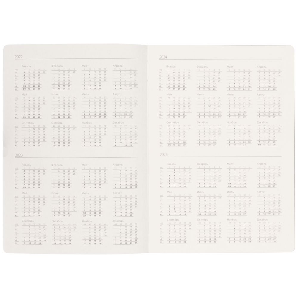 Ежедневник Flexpen Black, недатированный, черный с синим / Миниатюра WWW (1000)