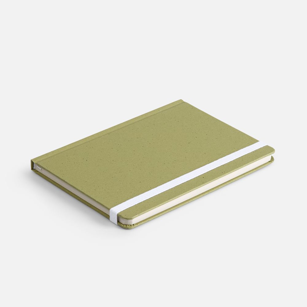 Блокнот Lactonica, зеленый / Миниатюра WWW (1000)