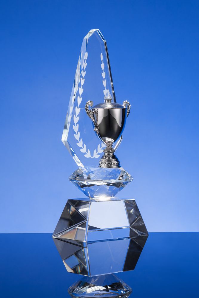 Кубок Laurel, уценка / Миниатюра WWW (1000)