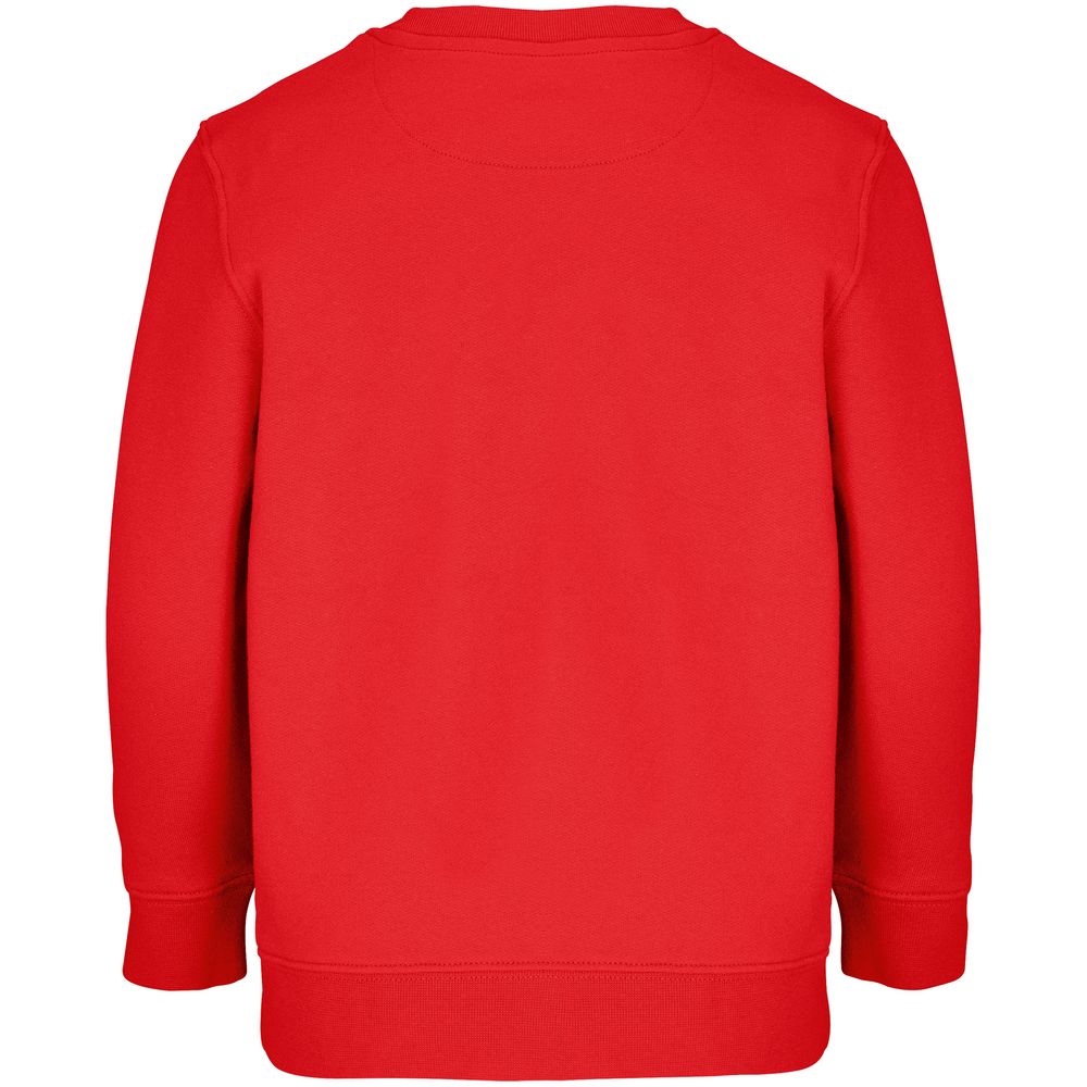 Свитшот детский Columbia Kids, красный / Миниатюра WWW (1000)