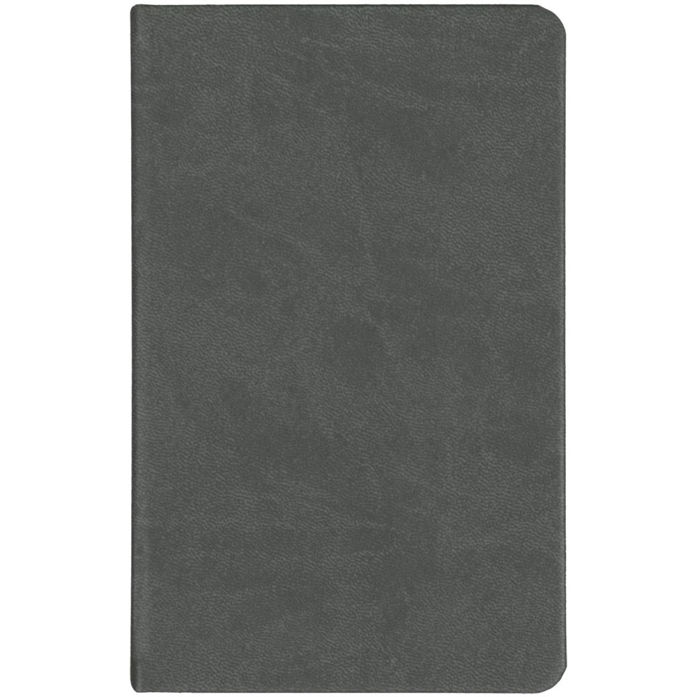 Ежедневник Basis Mini ver.2, недатированный, серый / Миниатюра WWW (1000)