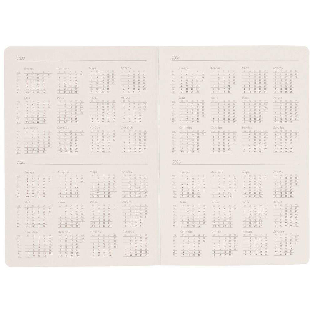 Ежедневник Shall, недатированный, оранжевый / Миниатюра WWW (1000)