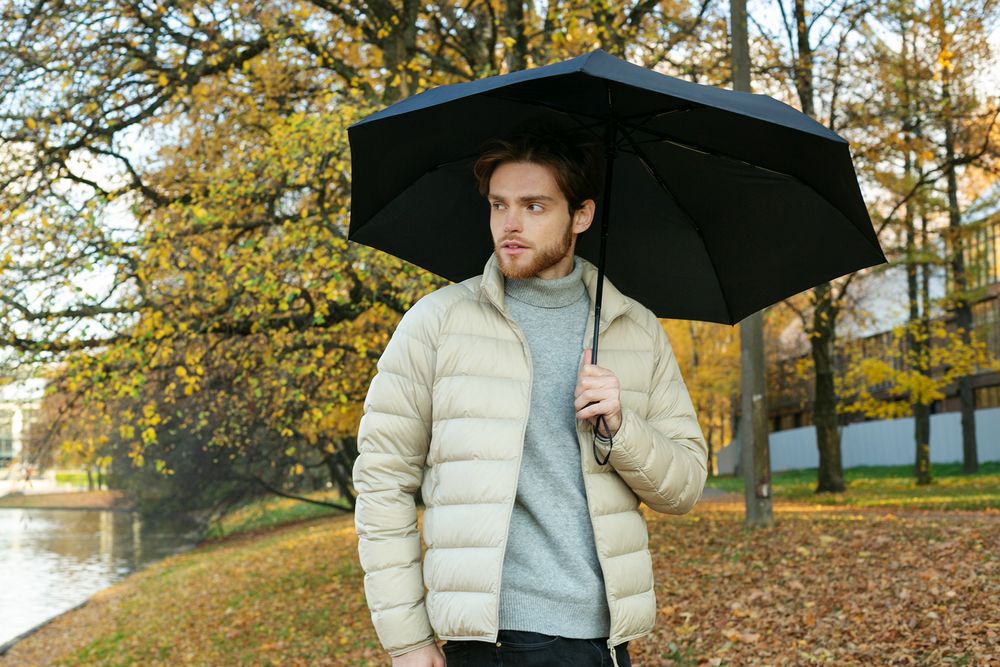 Зонт складной Zero Magic Large, черный / Миниатюра WWW (1000)