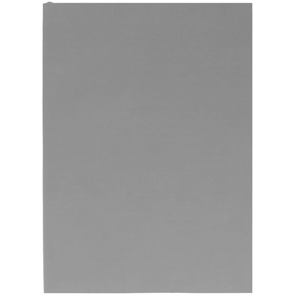 Ежедневник Flat Light, недатированный, серый / Миниатюра WWW (1000)