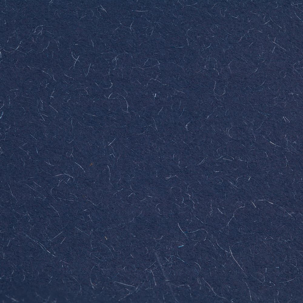 Пакет Eco Style, синий / Миниатюра WWW (1000)