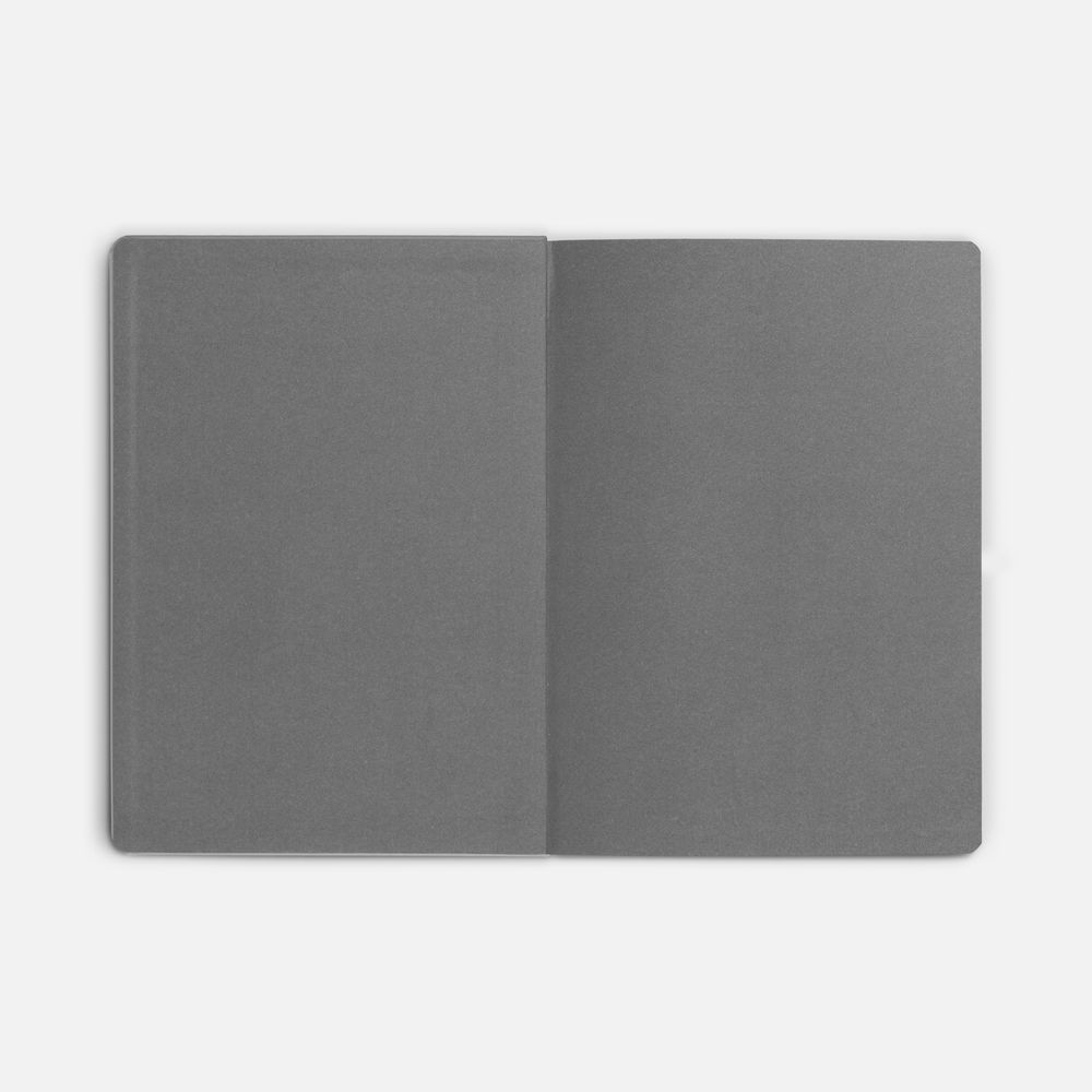 Ежедневник Shall, недатированный, серый / Миниатюра WWW (1000)