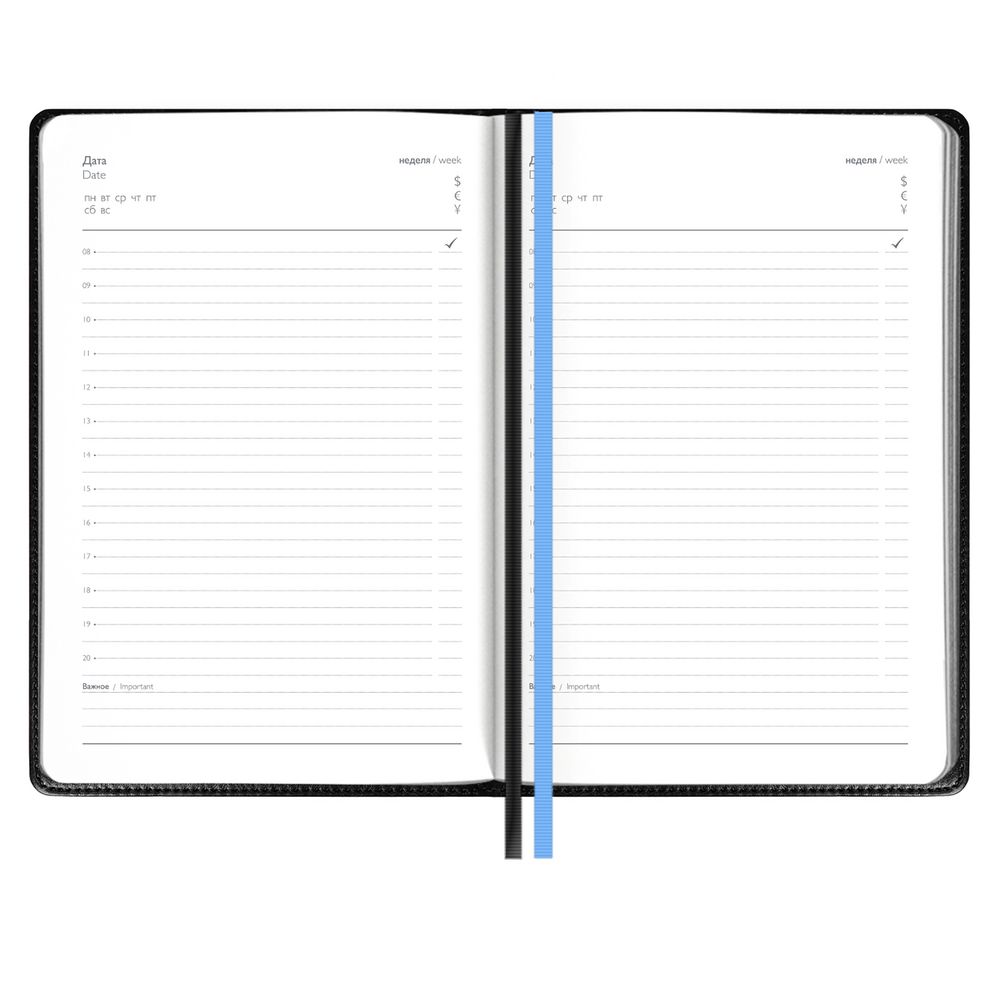 Ежедневник Alanis, недатированный, черный c голубым / Миниатюра WWW (1000)
