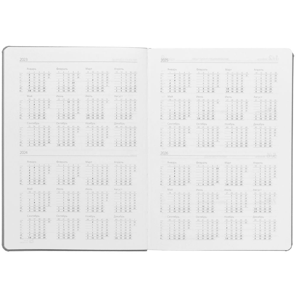 Ежедневник Must, датированный, серый / Миниатюра WWW (1000)