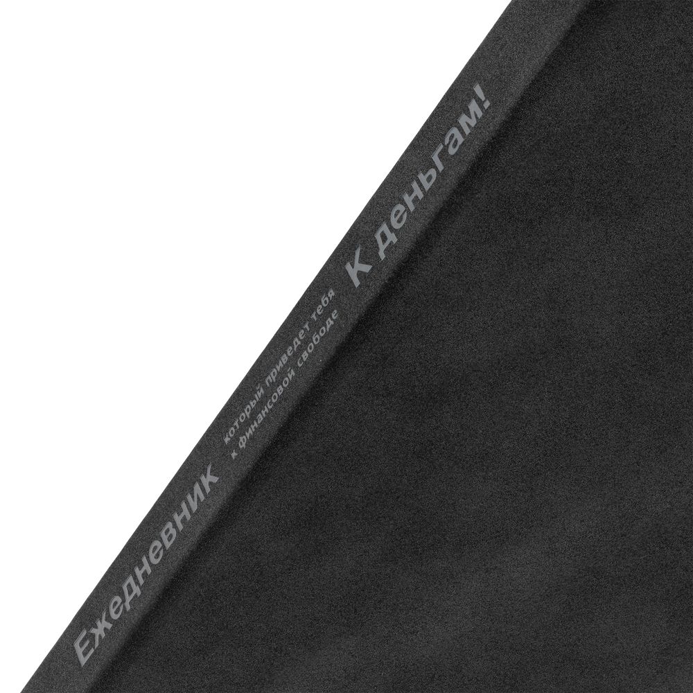 Ежедневник «Финансовая грамотность», недатированный, черный / Миниатюра WWW (1000)