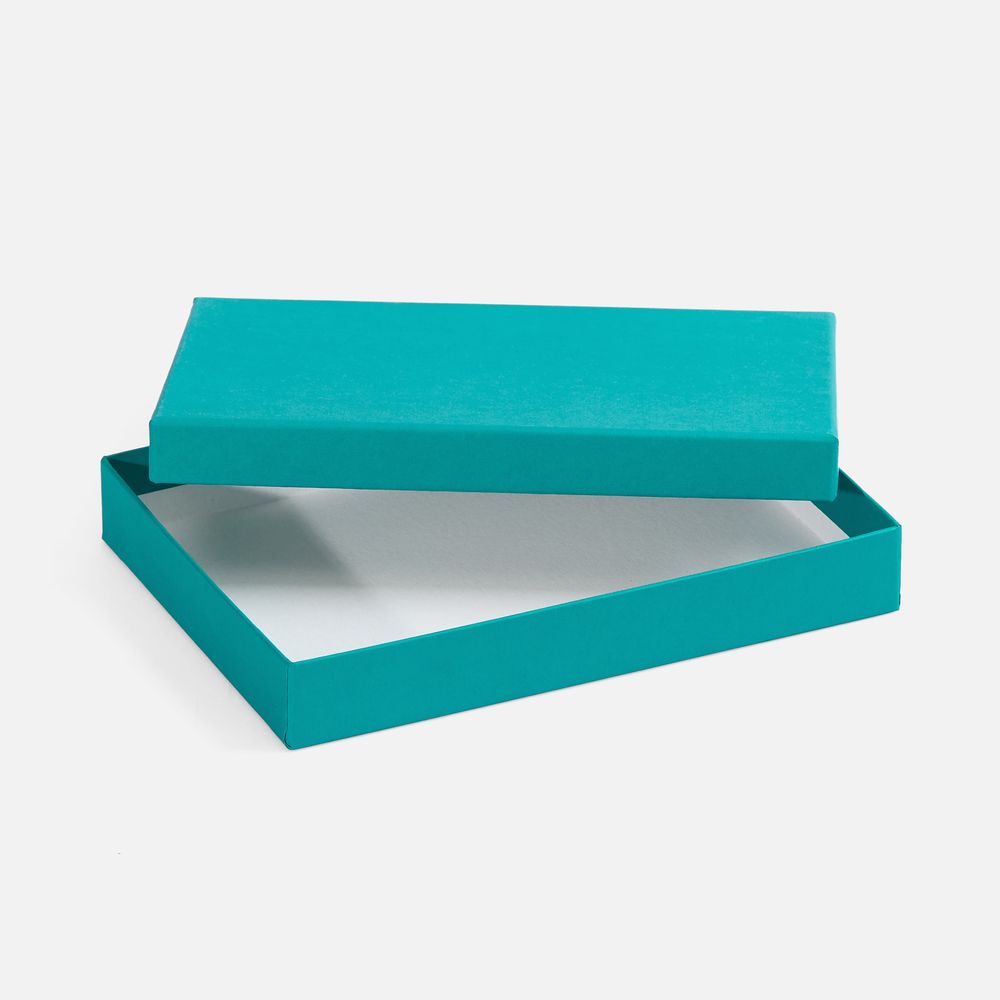 Коробка под ежедневник Startpoint, бирюзовая / Миниатюра WWW (1000)