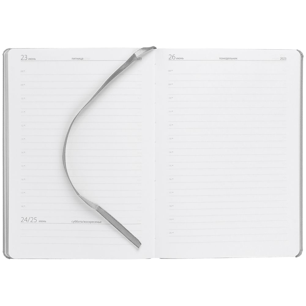 Ежедневник Must, датированный, серый / Миниатюра WWW (1000)