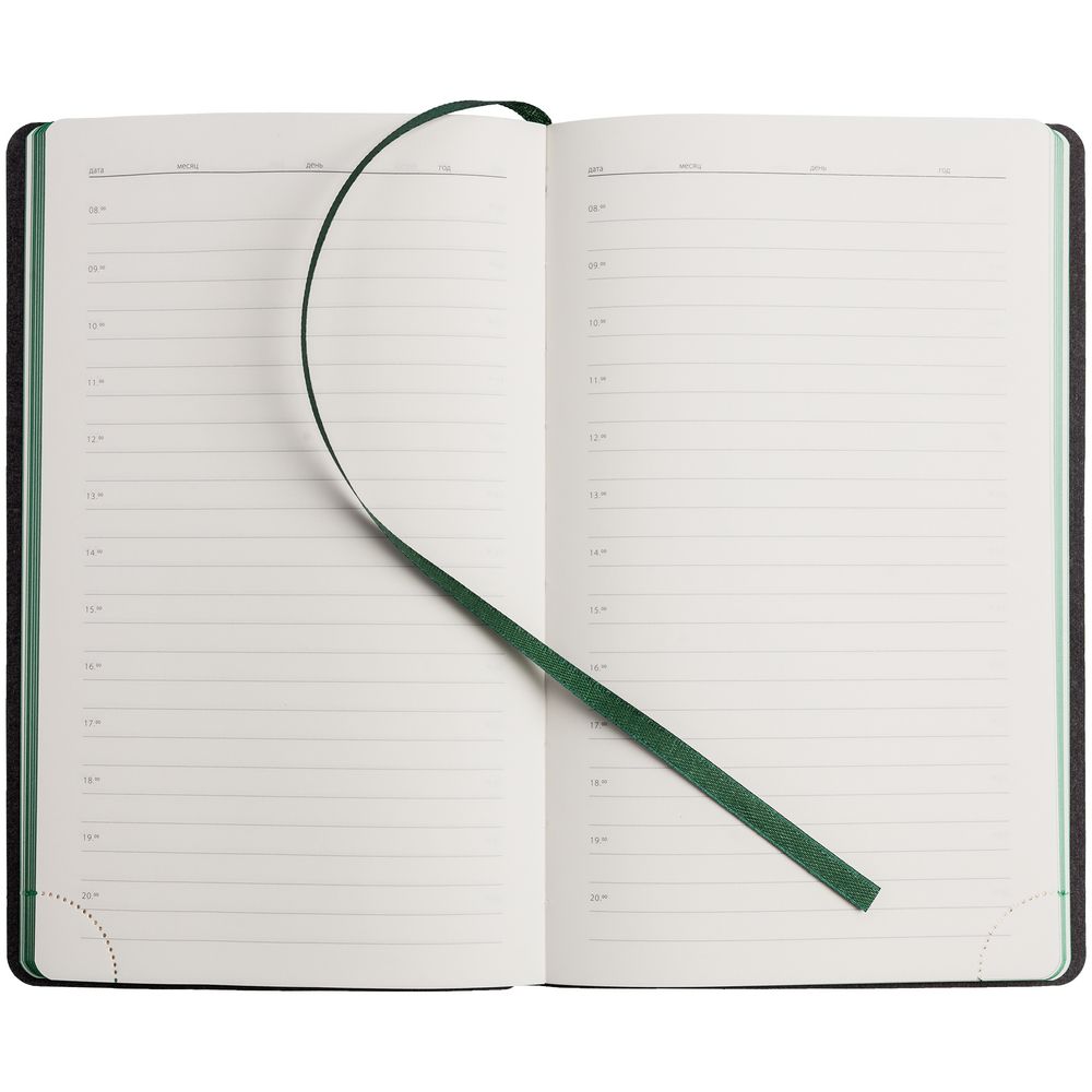 Ежедневник My Day, недатированный, зеленый / Миниатюра WWW (1000)