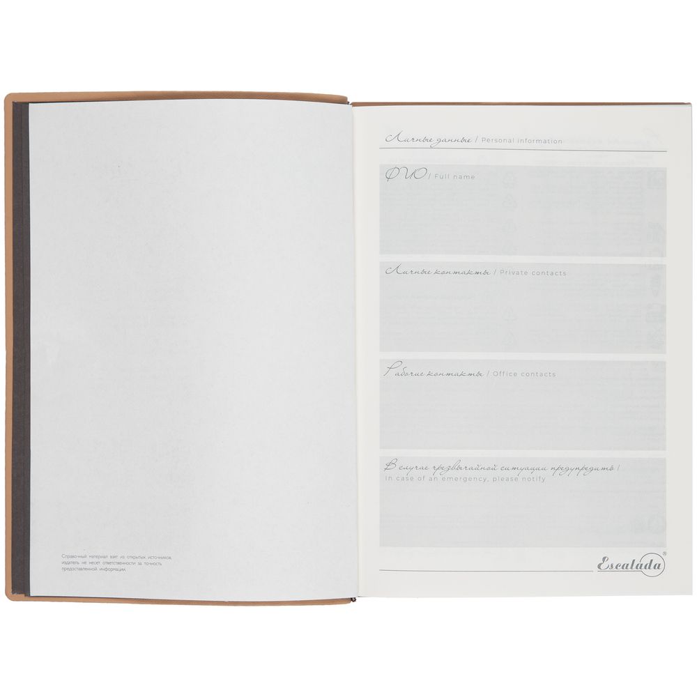 Ежедневник Anaconda, недатированный, серебристый / Миниатюра WWW (1000)