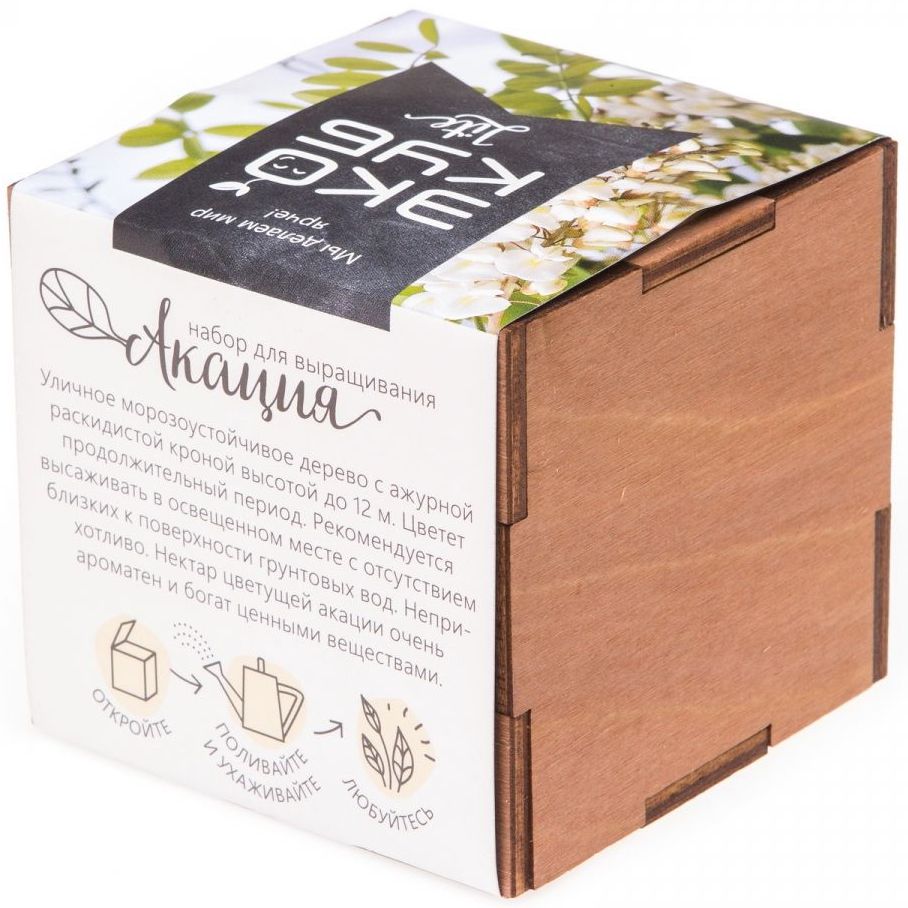Набор для выращивания «Экокуб Lite», акация / Миниатюра WWW (1000)