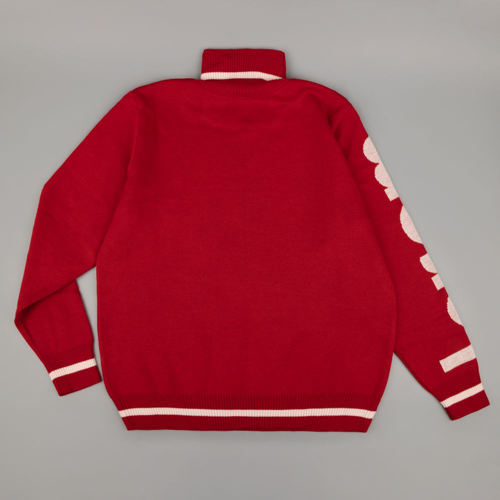 Олимпийка Sport Style на заказ, полушерсть / Миниатюра WWW (1000)