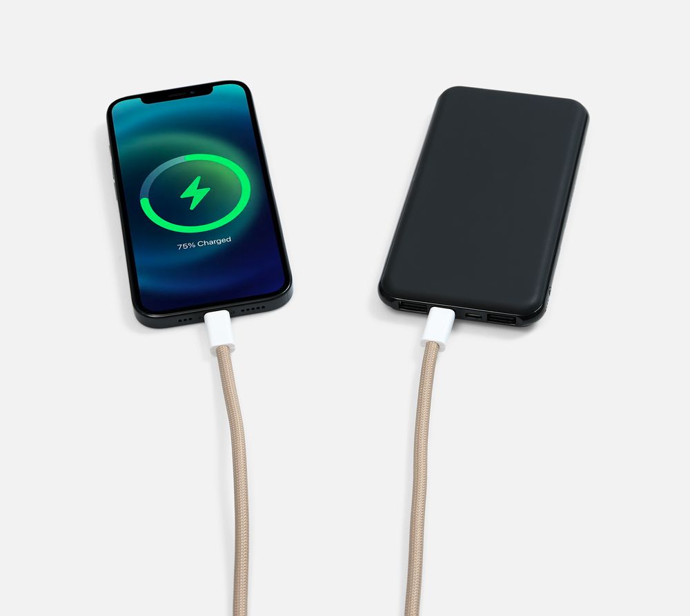 Кабель-ланьярд energyFlex Pro, серо-бежевый / Миниатюра WWW (1000)
