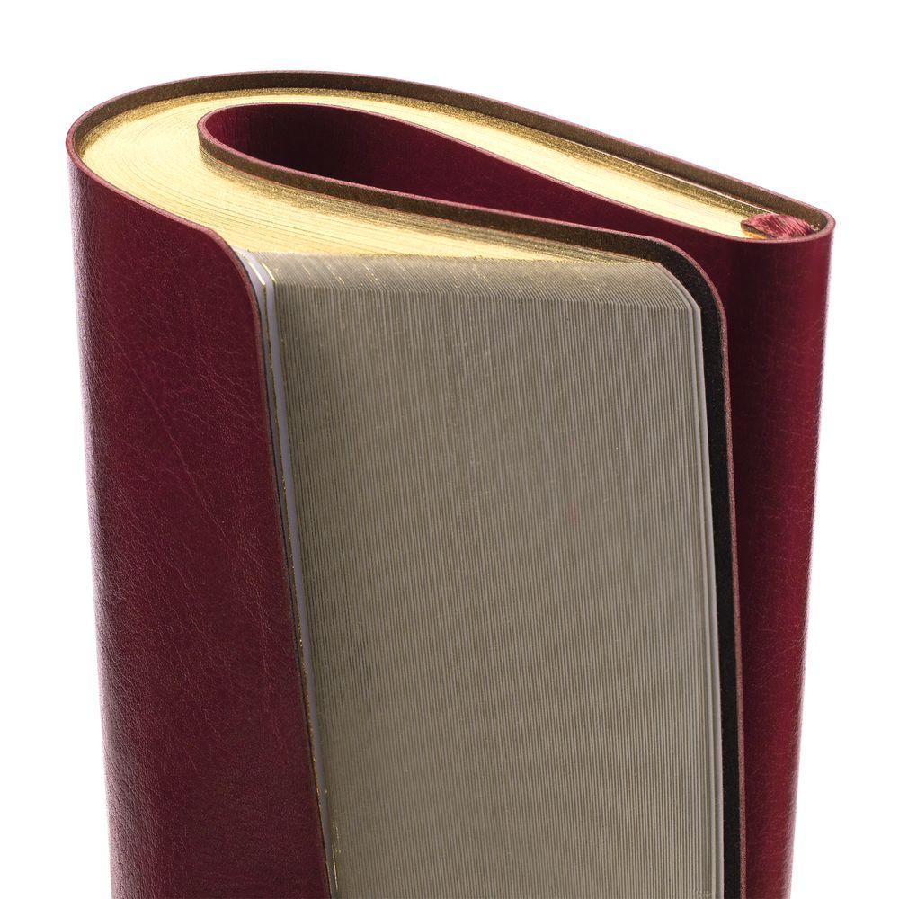 Ежедневник Nebraska Flex, недатированный, бордовый с золотистым / Миниатюра WWW (1000)