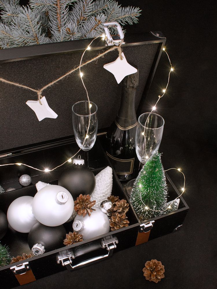 Чемодан с таймером обратного отсчета «Час Икс» / Миниатюра WWW (1000)