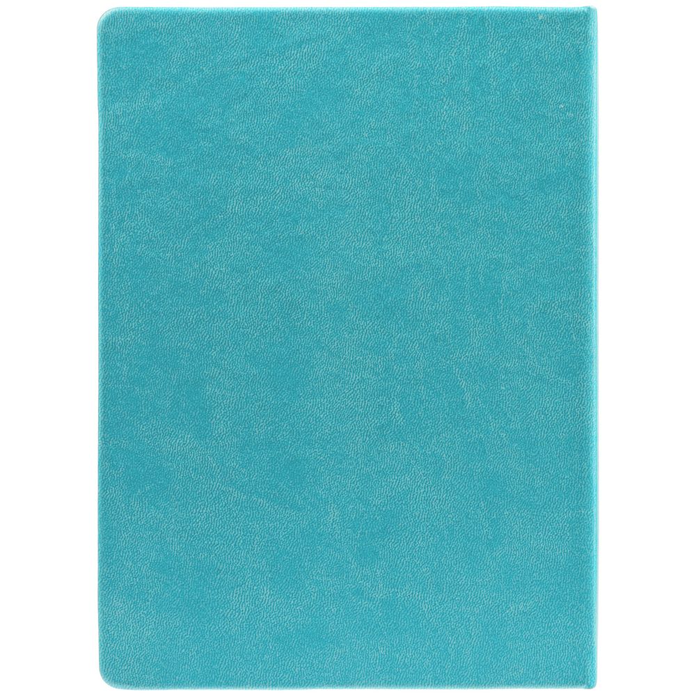 Ежедневник New Latte, недатированный, бирюзовый / Миниатюра WWW (1000)