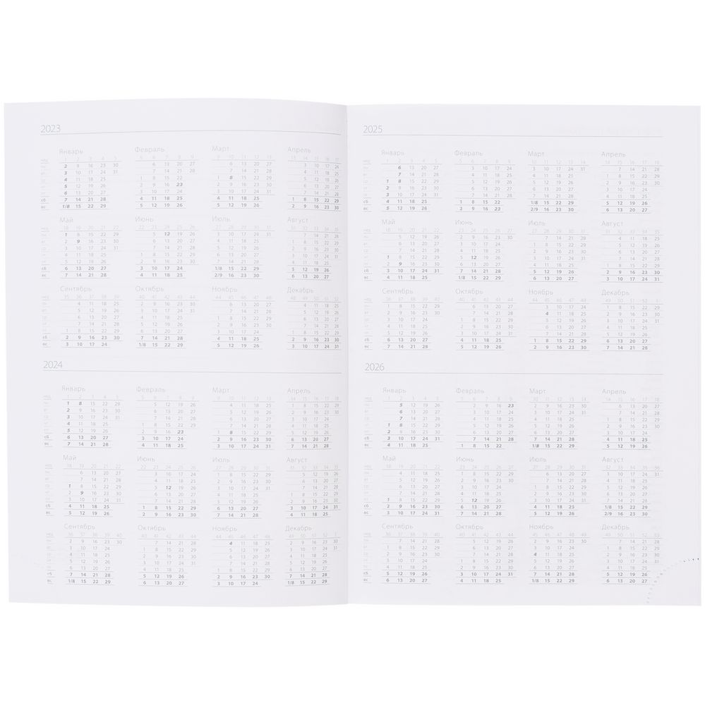 Ежедневник Vivian Metal, недатированный, красный / Миниатюра WWW (1000)