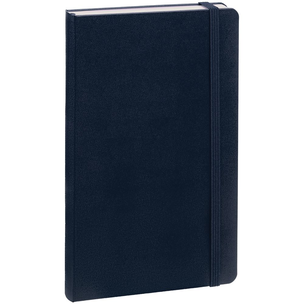 Записная книжка Moleskine Classic Large, в клетку, синяя / Миниатюра WWW (1000)