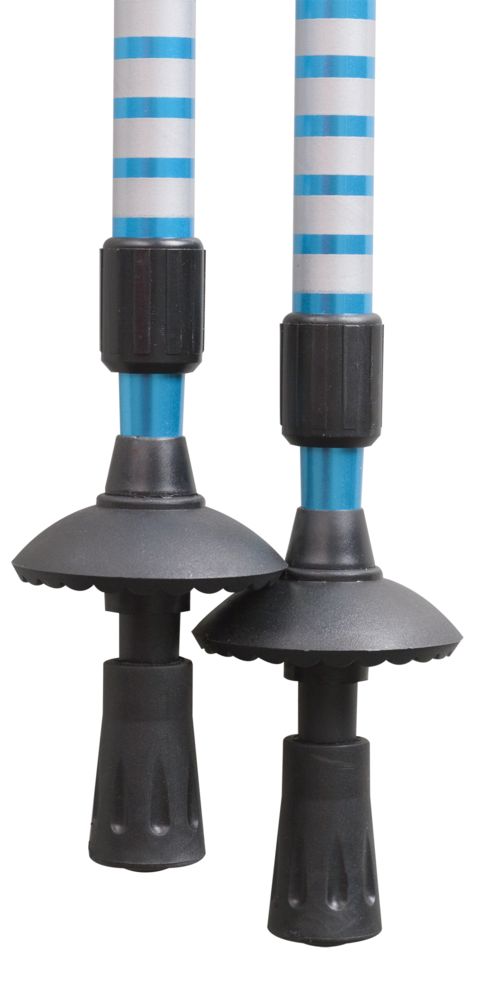 Палки горнолыжные West Highland / Миниатюра WWW (1000)