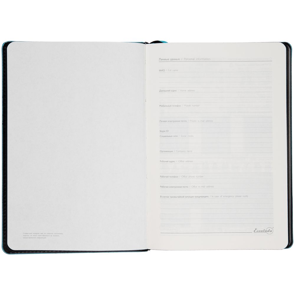 Ежедневник Alanis, недатированный, черный c бирюзовым / Миниатюра WWW (1000)