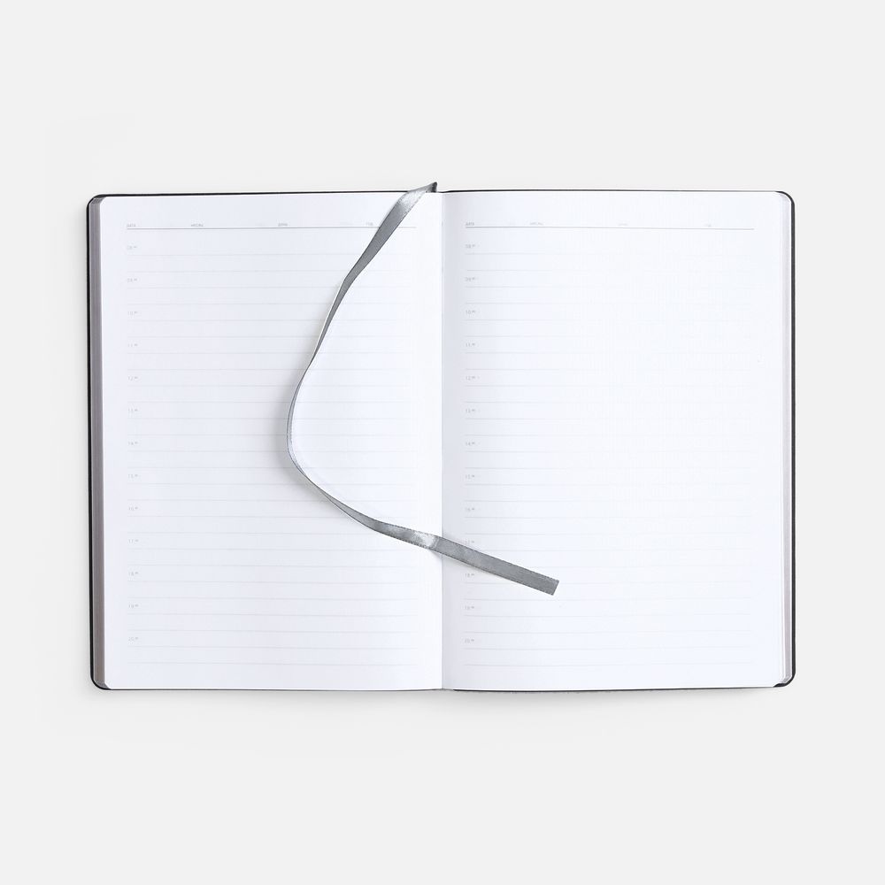 Ежедневник Nebraska Flex, недатированный, серебристый / Миниатюра WWW (1000)