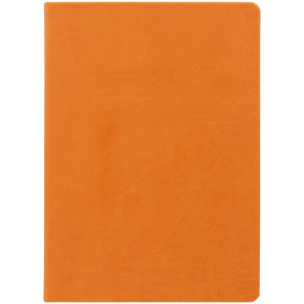 Ежедневник Basis, датированный, оранжевый / Миниатюра WWW (1000)