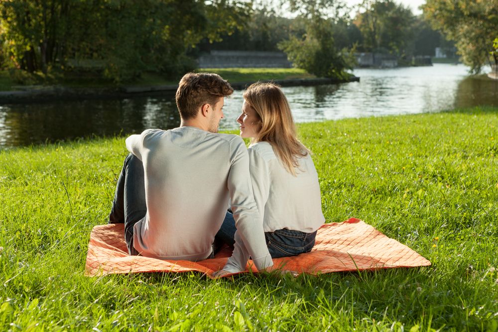 Плед для пикника Comfy, желтый / Миниатюра WWW (1000)