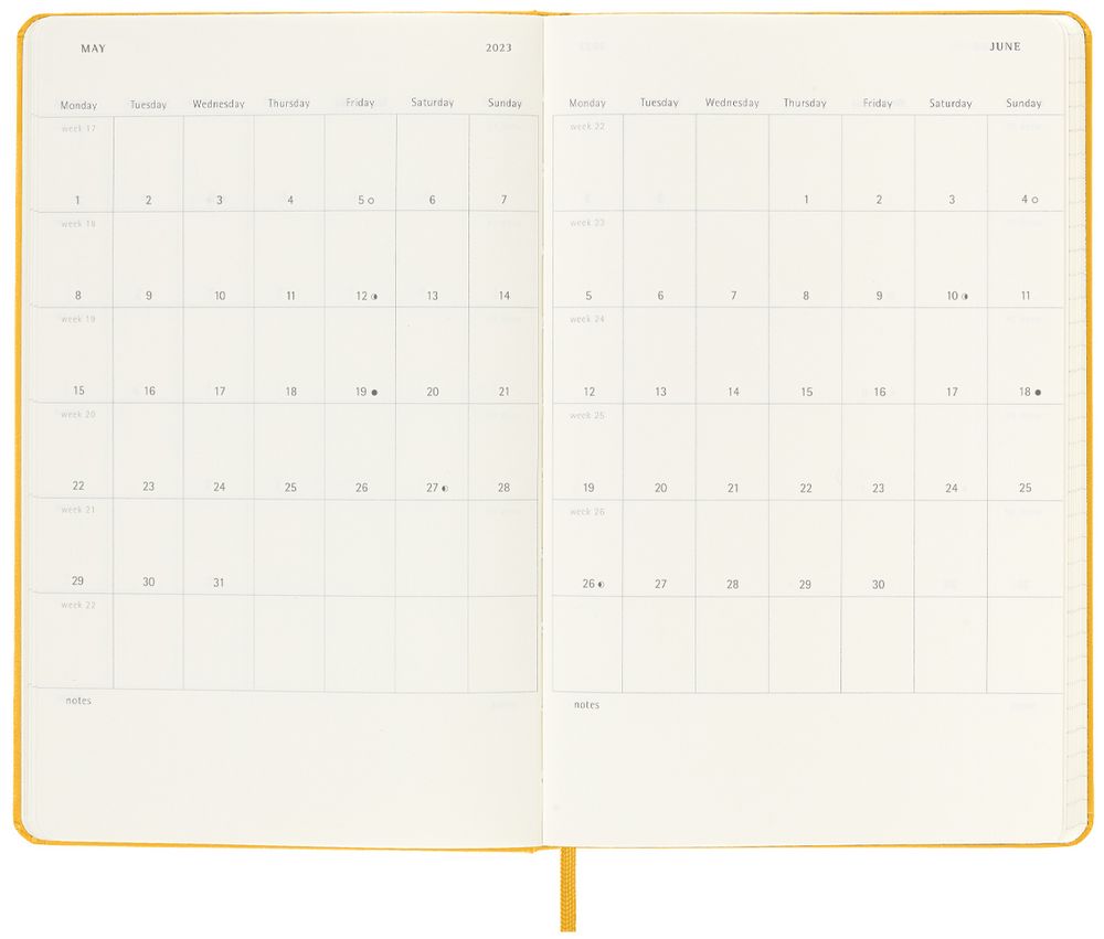 Еженедельник Moleskine Classic Large, датированный, оранжевый / Миниатюра WWW (1000)