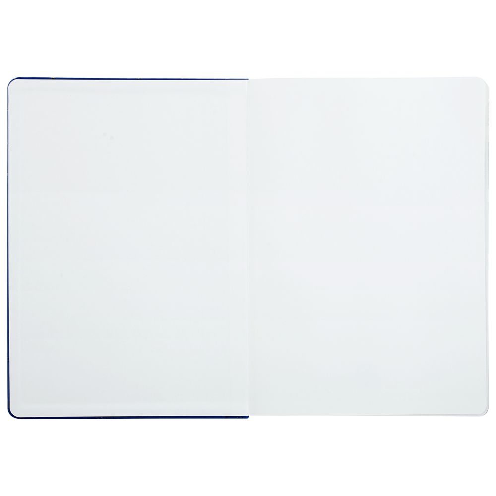 Ежедневник «Эрмитажные коты», синий, уценка / Миниатюра WWW (1000)